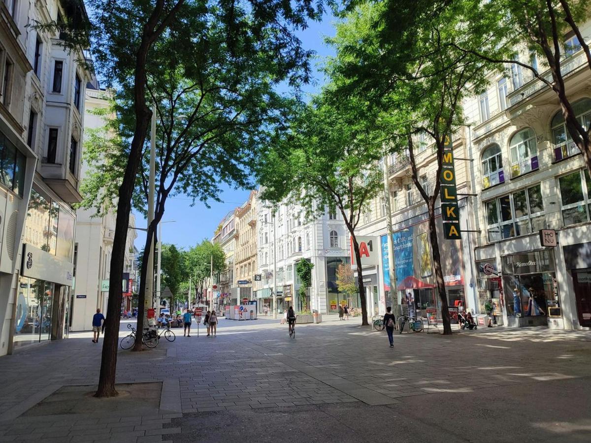 Mariahilfer 4 Min To The Shopping Center And Schoenbrunn Palace * Vienna
